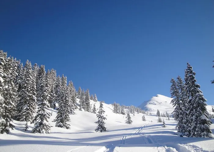 Appartement Timeout *